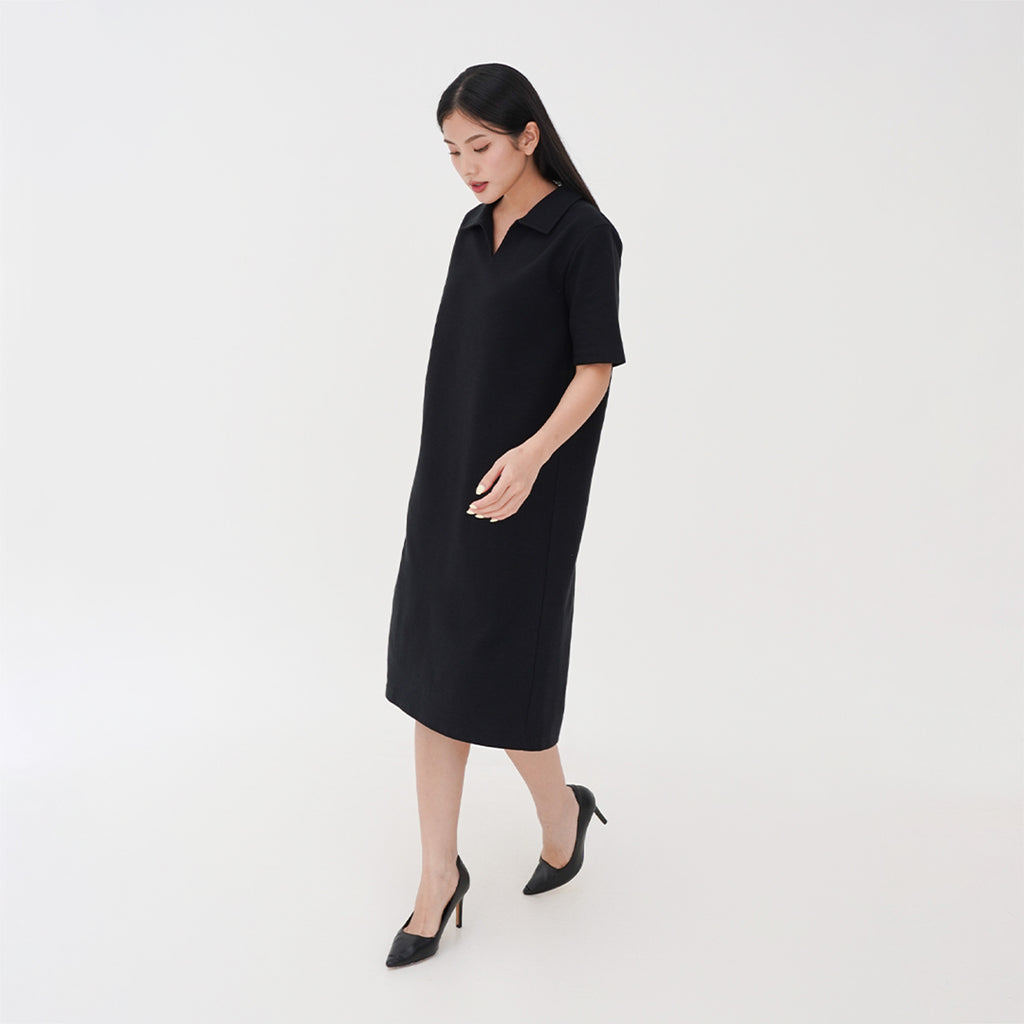 Raely Collar Dress